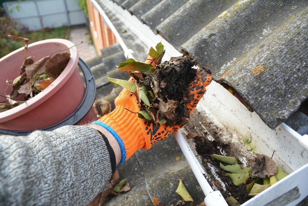 Dakgoot Schoonmaken Van Bladeren